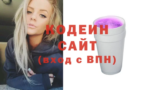 прущие грибы Ельня