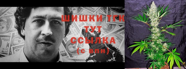 крисы Заводоуковск