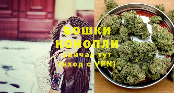 крисы Заводоуковск